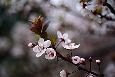 MMORPG《阿瑞斯》韩国正式开启运营 对应PC＆手机平台